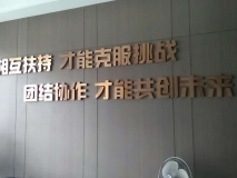 蘇州企業(yè)背景墻 不銹鋼字形象墻